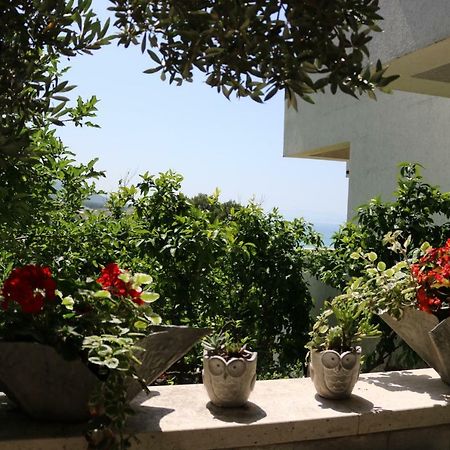 Beautifull Sea View Apartment Baška Voda Eksteriør billede