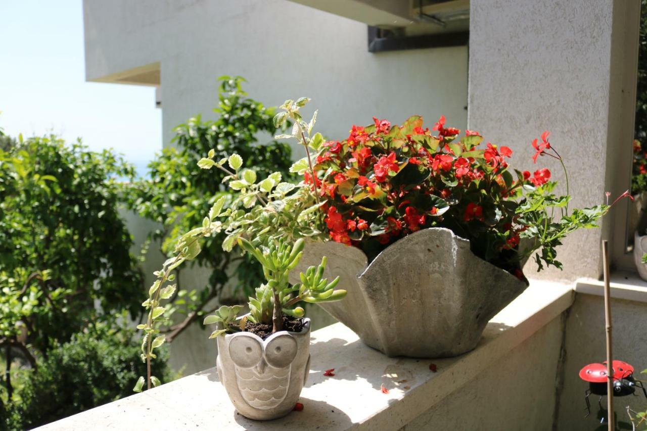 Beautifull Sea View Apartment Baška Voda Eksteriør billede